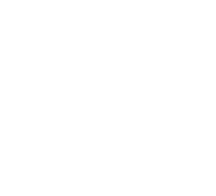 Hydrospeed Team Logo